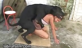 sexo de cachorro,animal fode garota