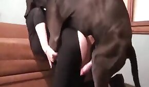 Nicole Aniston uma das loiras mais gostosas e gatas de todos os tempos do porno sentando na vara - sexo de cachorro,sexo foda animal